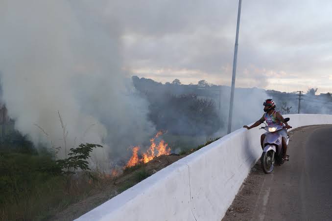 imagem servico